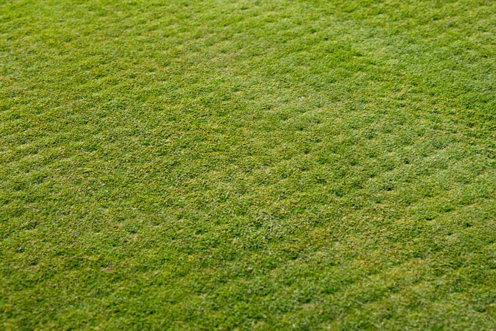 Commercial and Residential Landscaping