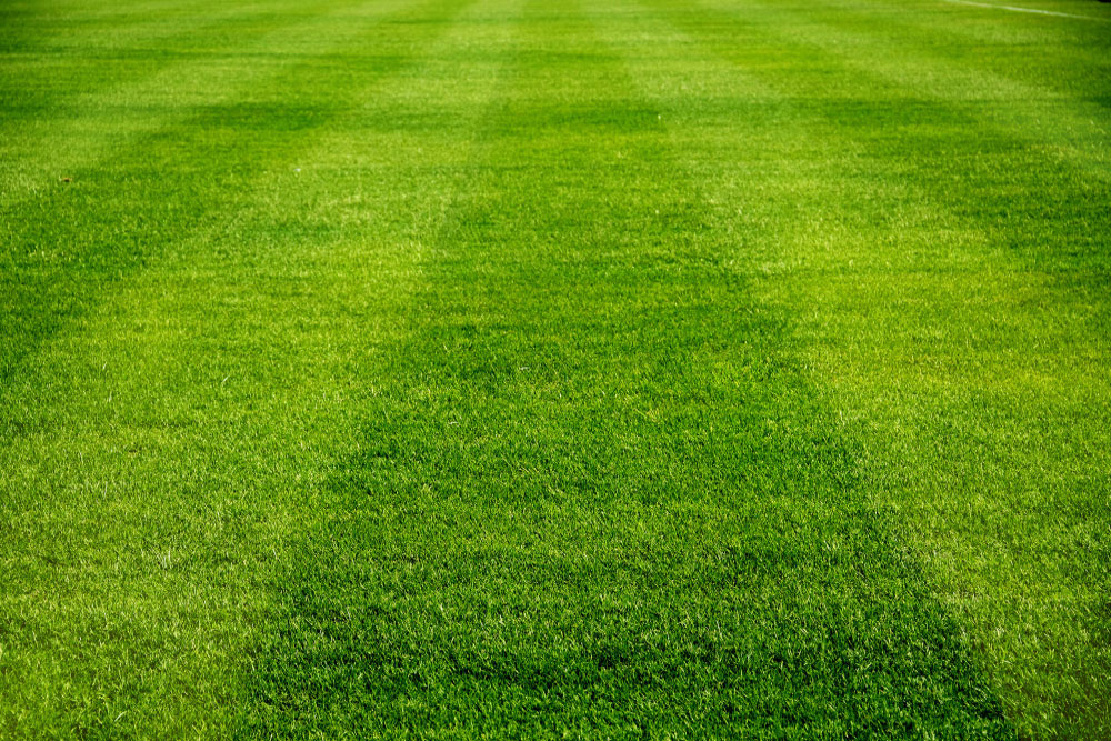 Commercial and Residential Landscaping
