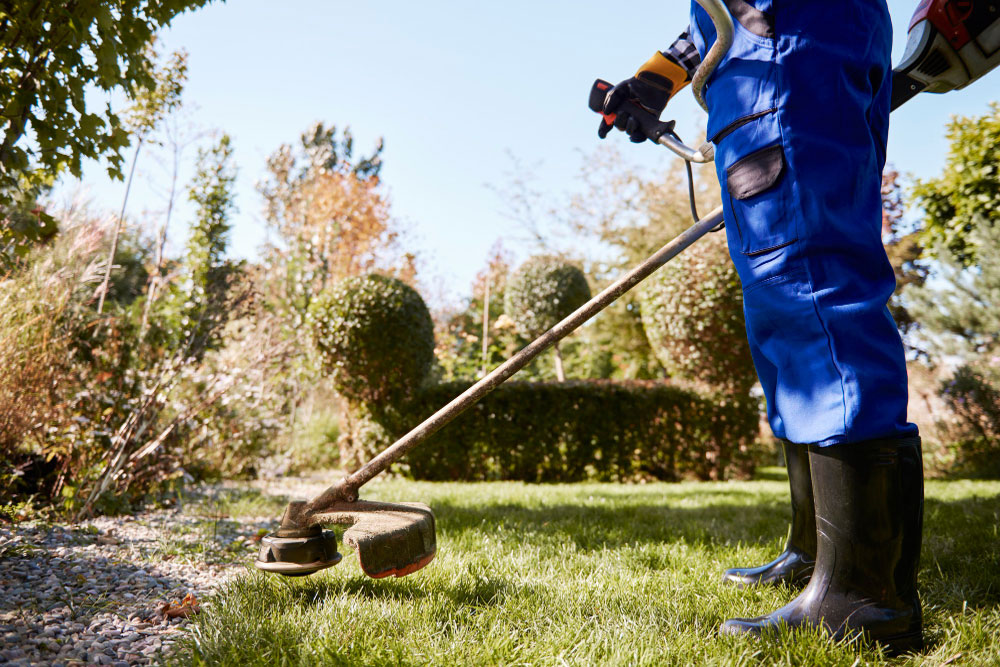 Commercial and Residential Landscaping