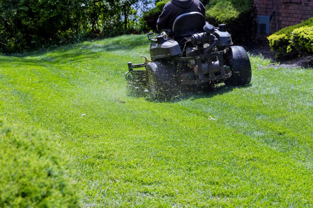 Commercial and Residential Landscaping