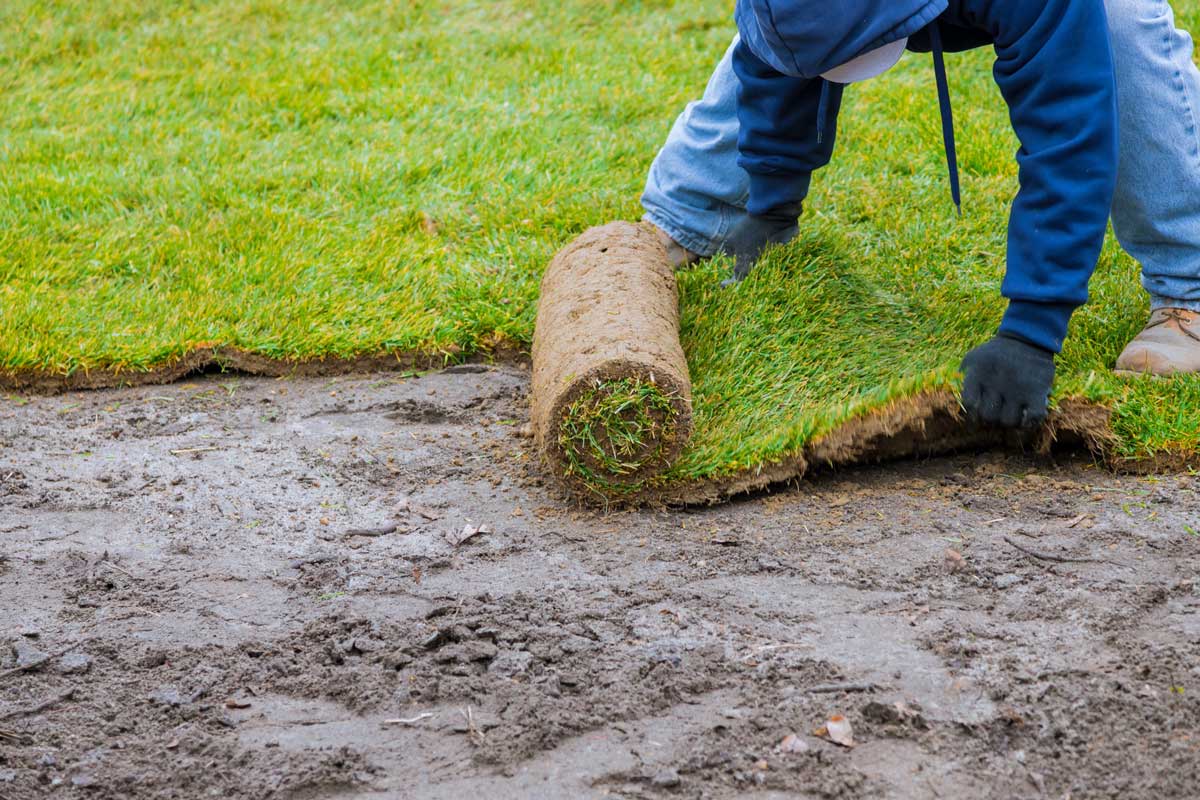 Commercial and Residential Landscaping