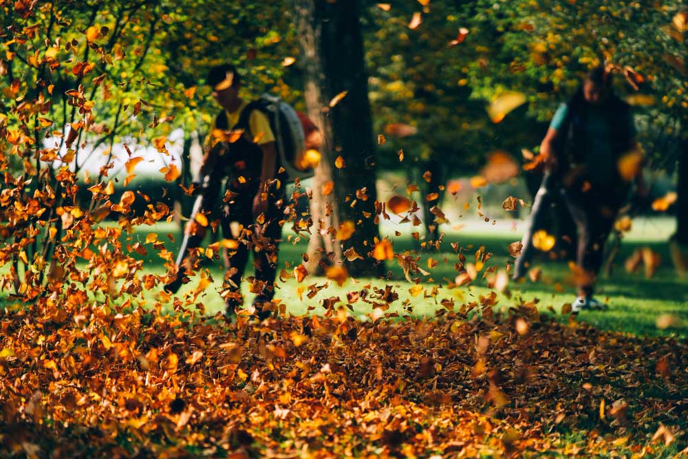 Commercial and Residential Landscaping