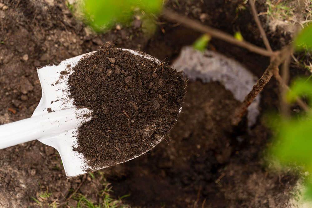 Commercial and Residential Landscaping