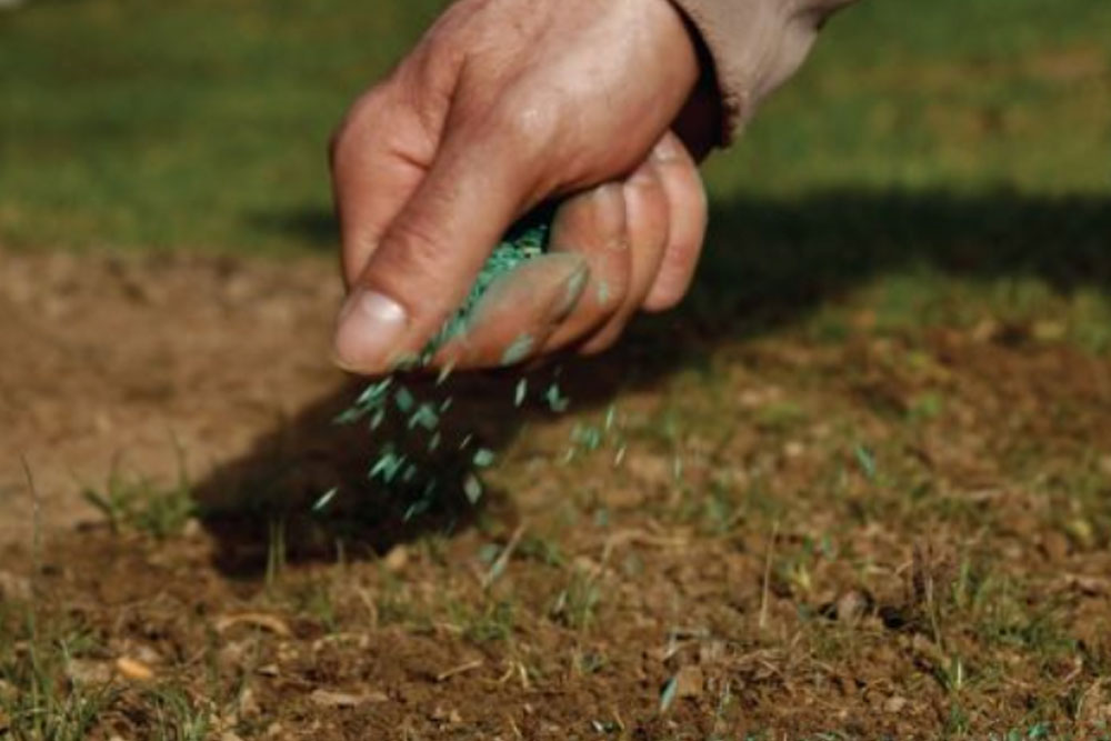 Commercial and Residential Landscaping